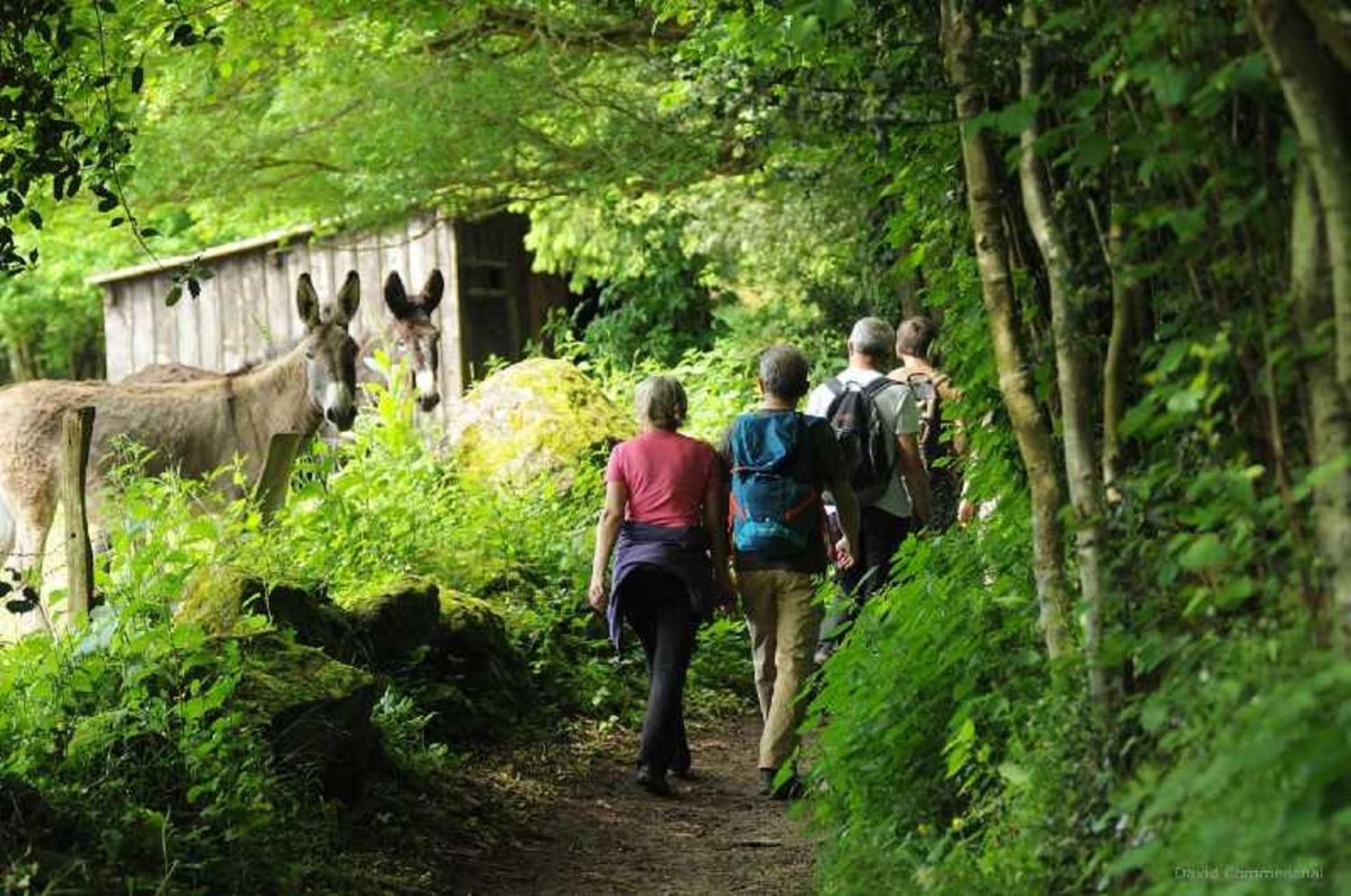 Gite De Fourneaux Pont-d'Ouilly Exteriér fotografie